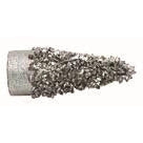 Cone Rasp 2 In 36 Grit Dualife
