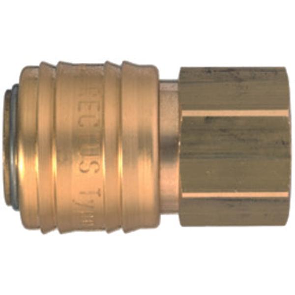 Rectus 1/4" ARO Coupler (BSP)