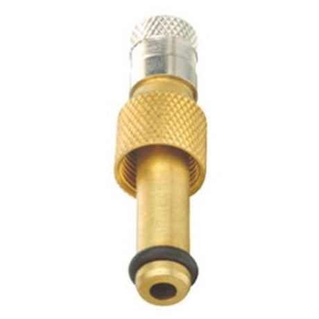 Valve Core Air/Water Old Type