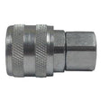 1/4" ARO One Touch Coupler (BSP)
