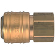 Rectus 1/4" ARO Coupler (BSP)