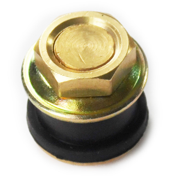 Rim Hole Plug