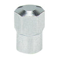 Valve Cap Metal Hex Type (100)