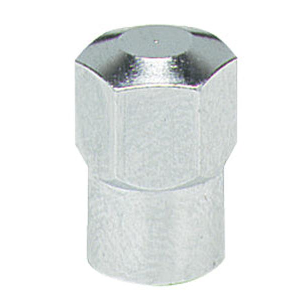 Valve Cap Metal Hex Type (100)